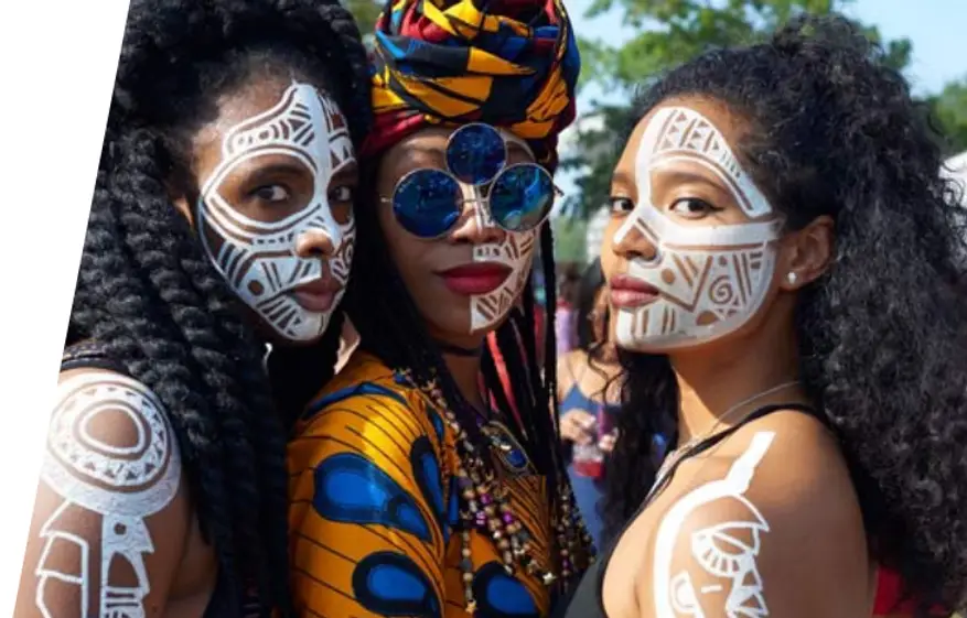 afrolifestyle_afropunk_cover_pic